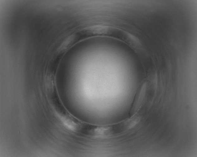 X0000053080172200507111254