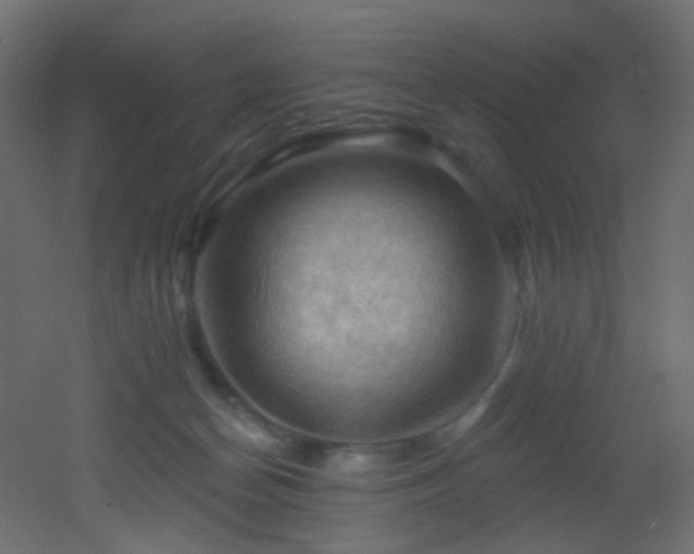 X0000053080174200507111254