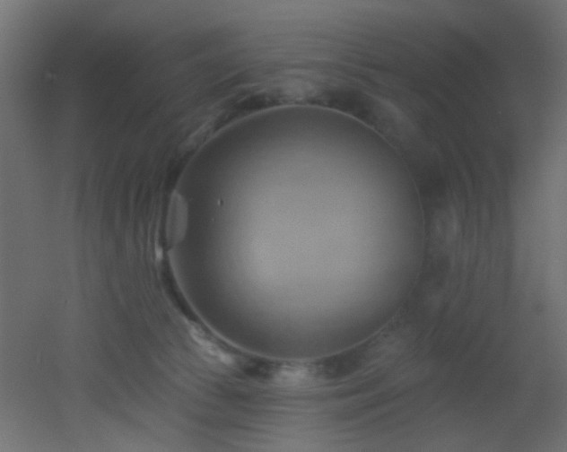 X0000053080177200507111254
