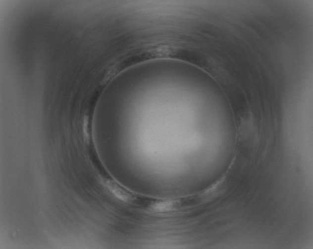 X0000053080178200507111254