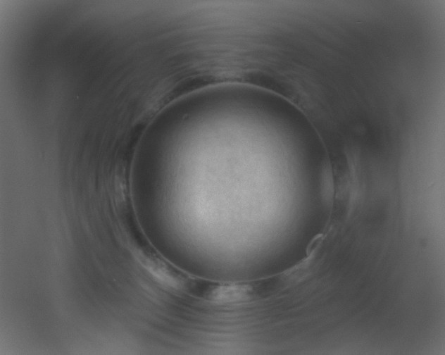 X0000053080179200507111254
