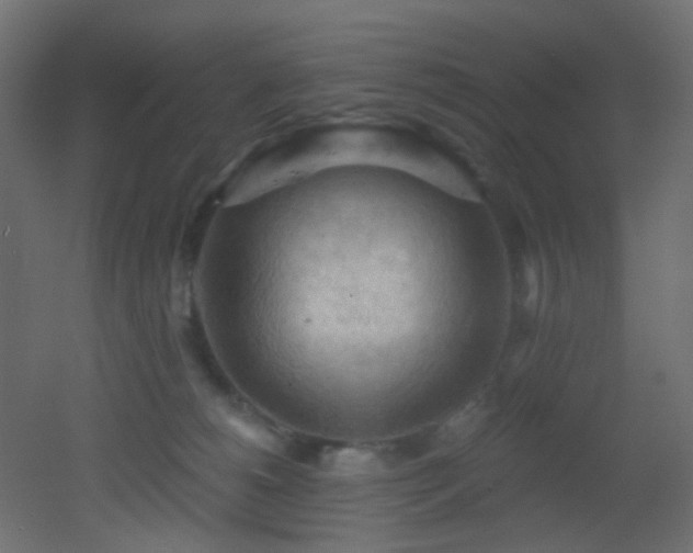 X0000053080180200507111254