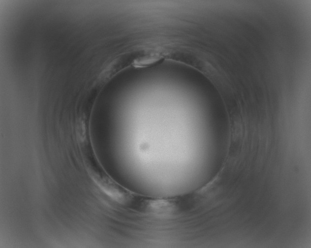 X0000053080183200507111254