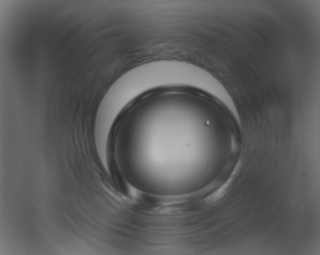 X0000053080186200507111254