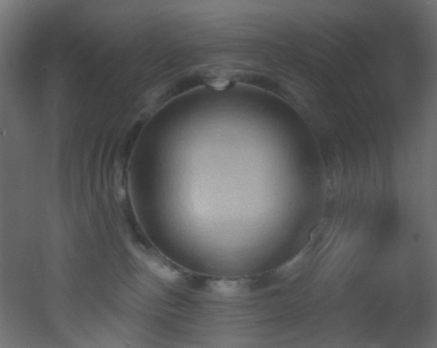 X0000053080187200507111254