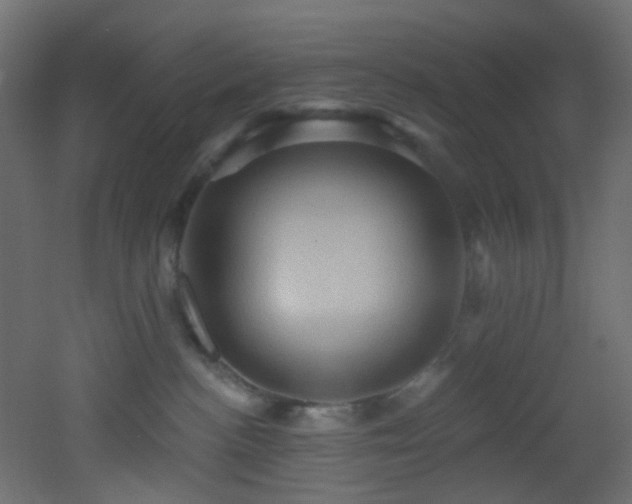 X0000053080188200507111254