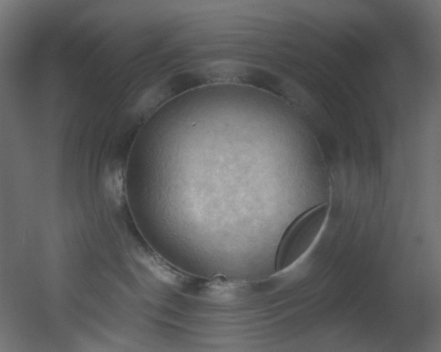 X0000053080190200507111254