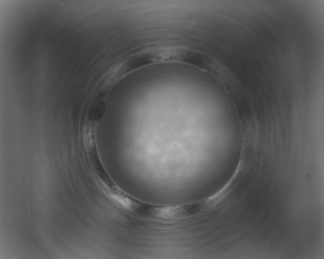 X0000053080191200507111254