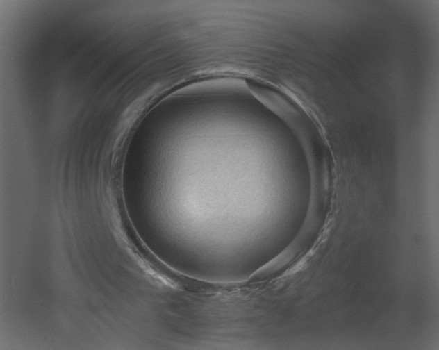 X0000053080193200507111253