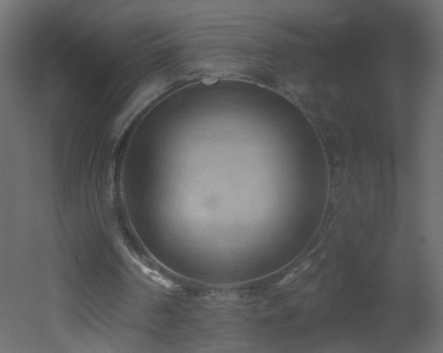 X0000053080194200507111253