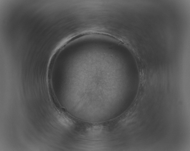 X0000053080196200507111253