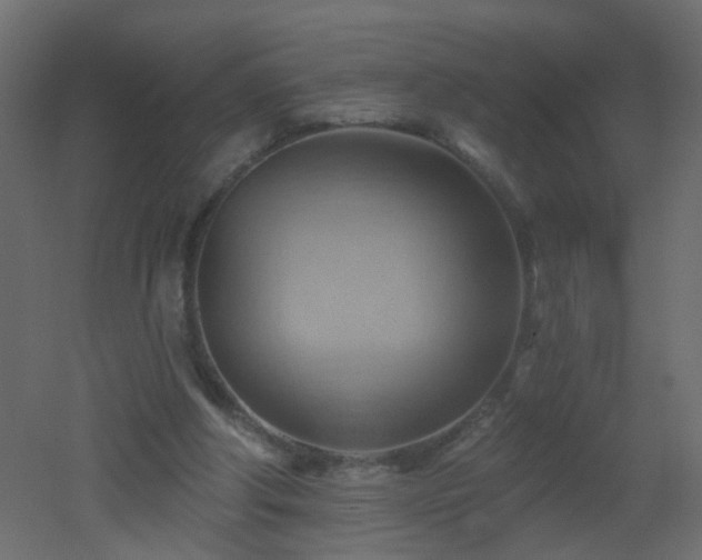 X0000053080202200507111253