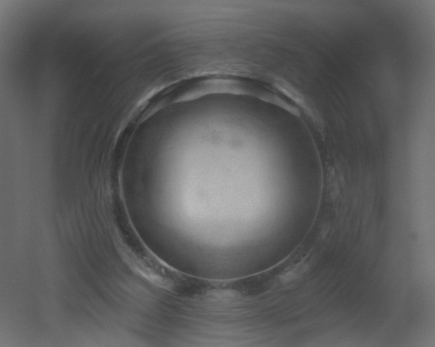X0000053080203200507111253