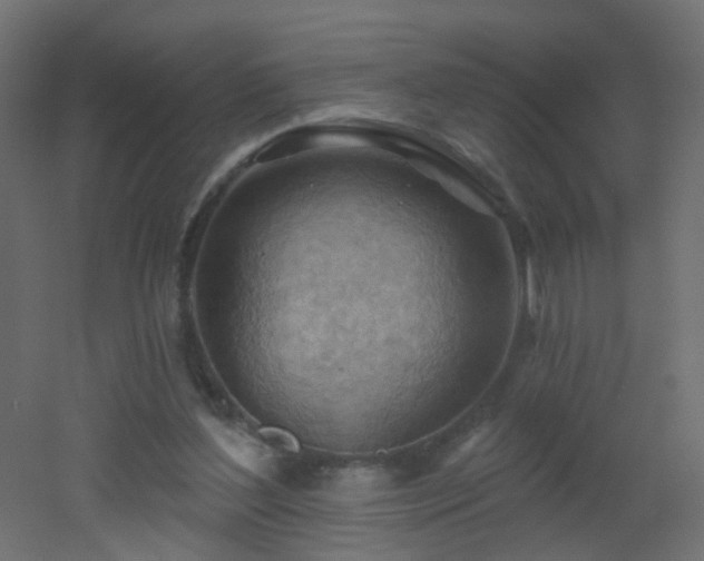 X0000053080204200507111253