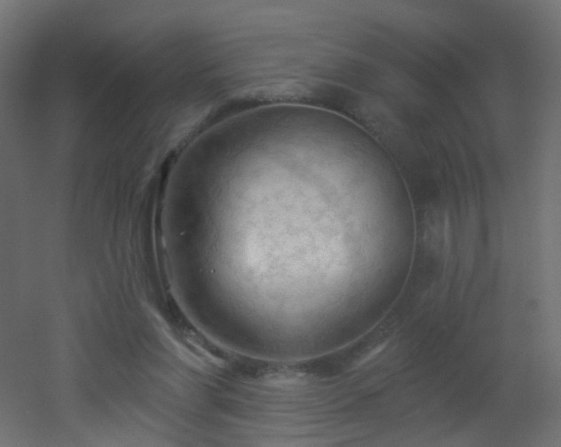 X0000053080206200507111253