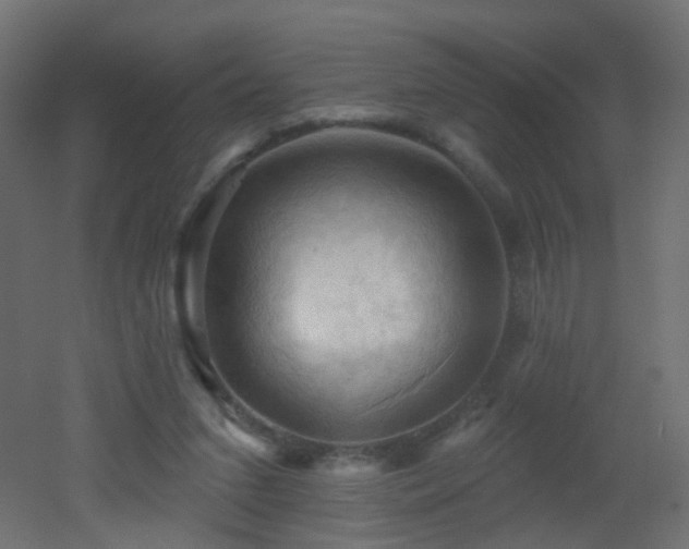 X0000053080207200507111253