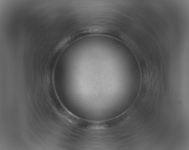 X0000053080208200507111253