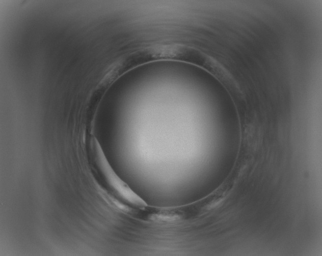 X0000053080209200507111253