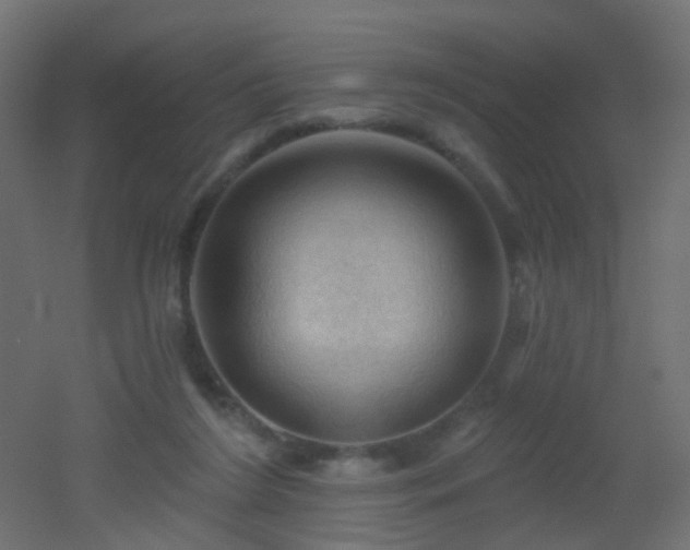 X0000053080212200507111253