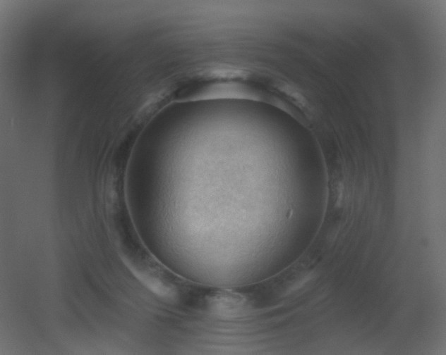 X0000053080215200507111253