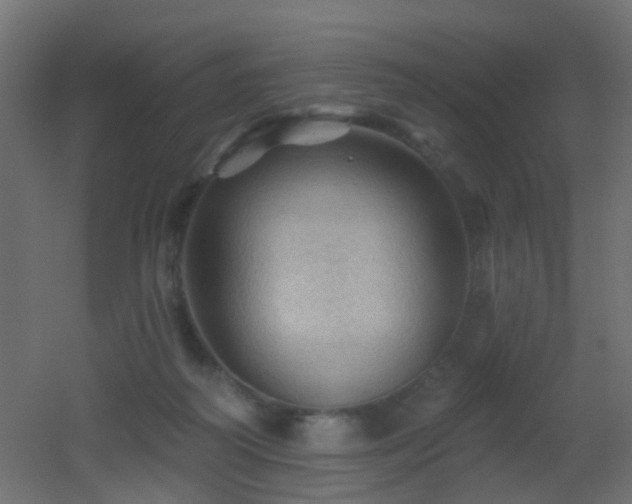 X0000053080218200507111253