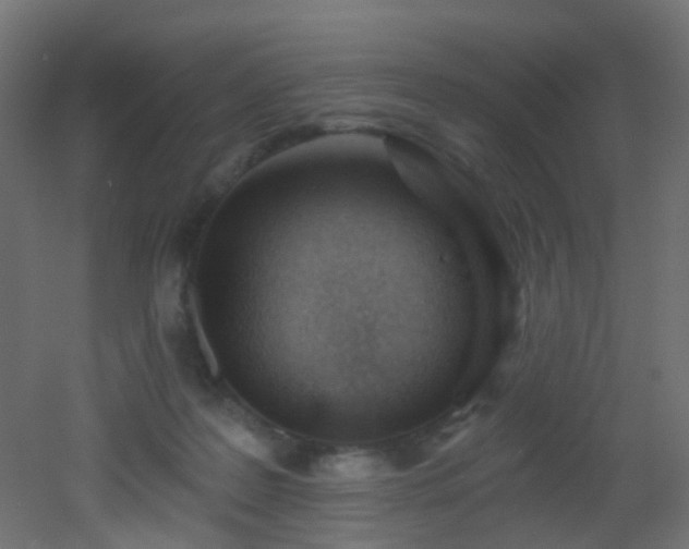 X0000053080219200507111253
