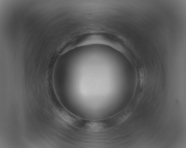 X0000053080221200507111253