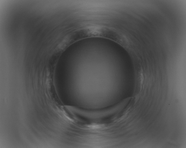X0000053080223200507111253