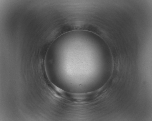 X0000053080225200507111253