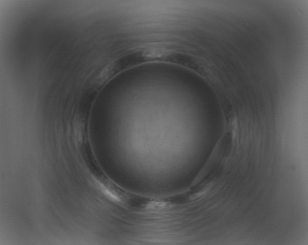 X0000053080227200507111253