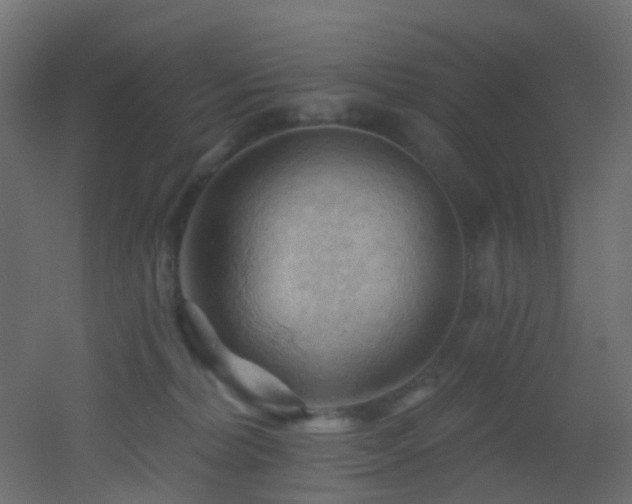 X0000053080228200507111253