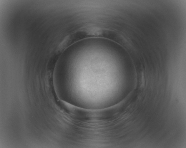 X0000053080229200507111253