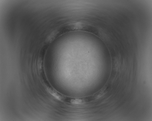 X0000053080230200507111252