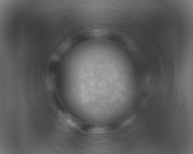 X0000053080236200507111252