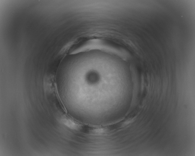 X0000053080237200507111252