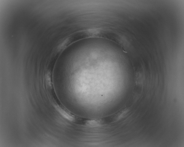 X0000053080238200507111252