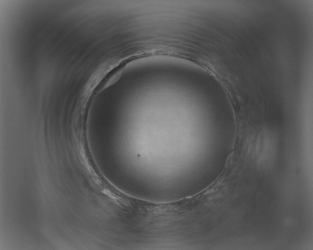 X0000053080241200507111252