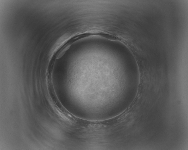 X0000053080242200507111252