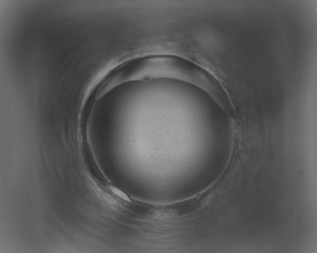 X0000053080248200507111252
