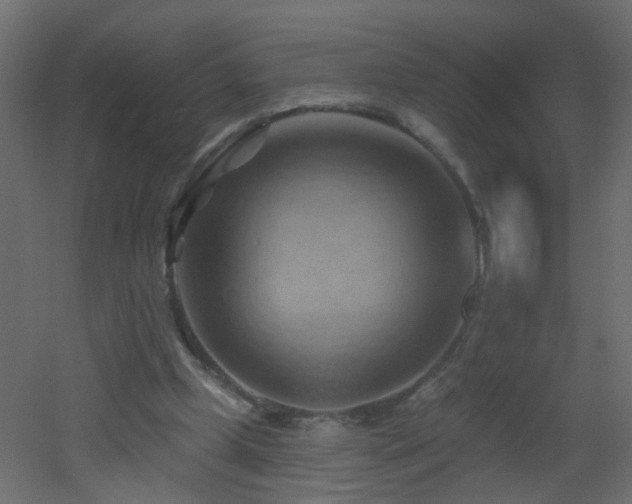 X0000053080249200507111252