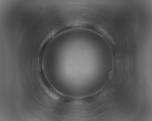 X0000053080250200507111252