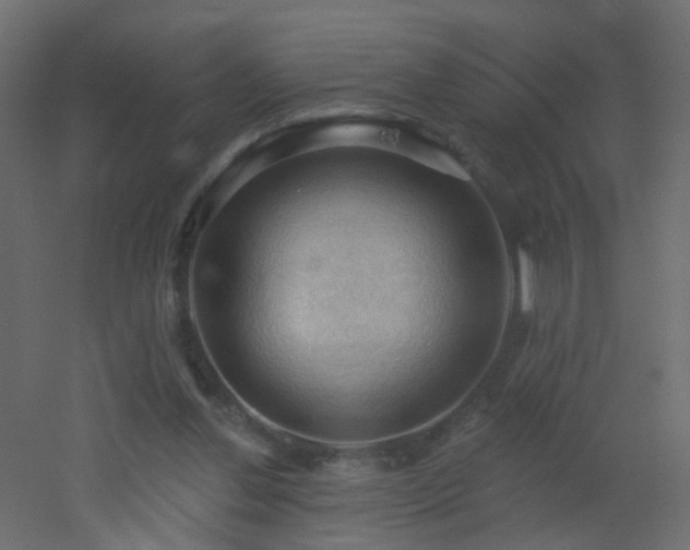 X0000053080252200507111252