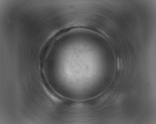 X0000053080253200507111252