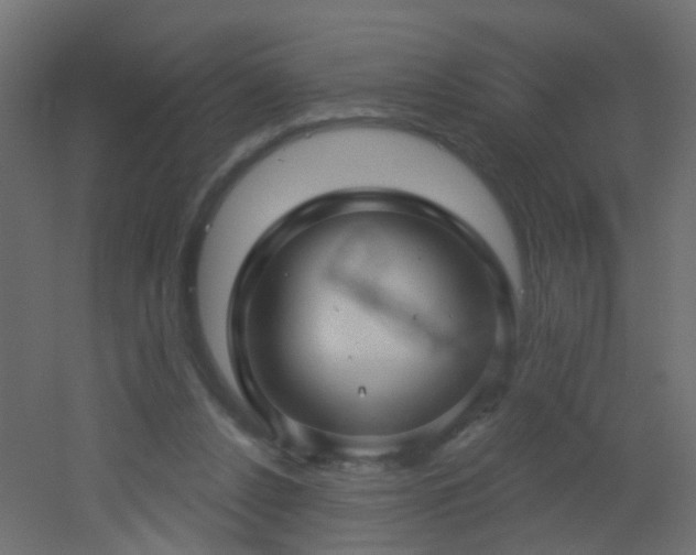 X0000053080256200507111252