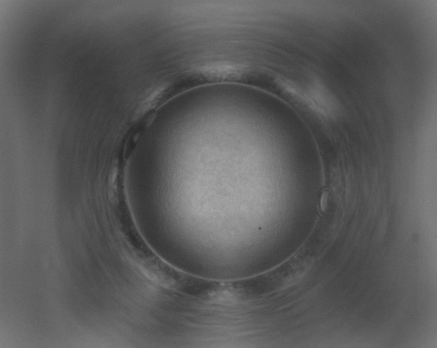 X0000053080259200507111252