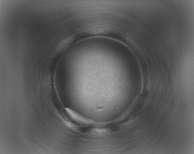 X0000053080260200507111252