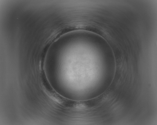 X0000053080262200507111252