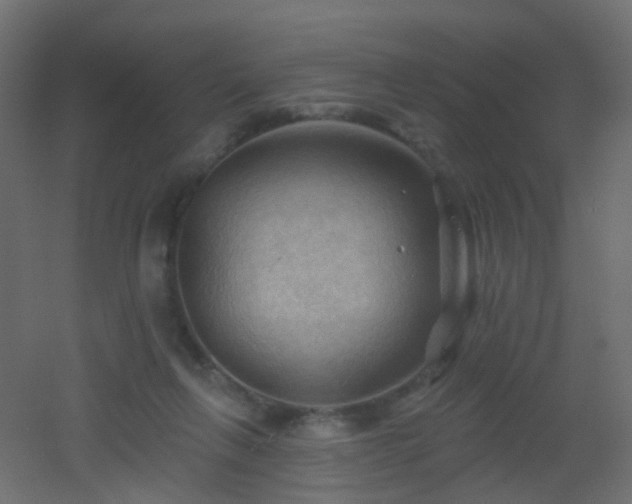 X0000053080263200507111252