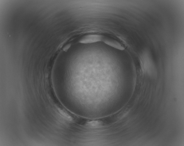 X0000053080269200507111252