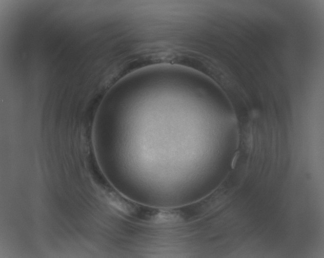 X0000053080270200507111252